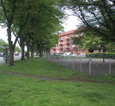 Parkavsnitten söder om Falsterboplan, vid hundrastplatsen är idag kala och tråkiga.