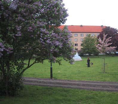 Möllevångsgården, det som en gång var Frans Suells sommarhus, har en parkliknande trädgård. Trädgården har en begränsad tillgänglighet då den omringas av staket och stängs nattetid.