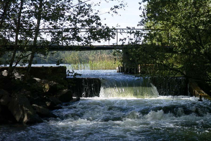Vindån 69000 18. Vindån Lokal: Vindommens utlopp 6441003 1540311 Åtgärd: Fiskväg, omlöp/trösklar. Vindommens utlopp, en cementkonstruktion, utgör ett definitivt vandringshinder för all fisk.