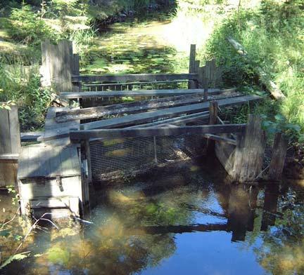 Kustområde 69070 26 Landbäcken Lokal: Frisksjöns utlopp 6422543 1553679 Åtgärd: Fiskväg, utrivning. I Frisksjöns utlopp finns det en fiskfälla som hindrar all fiskvandring.