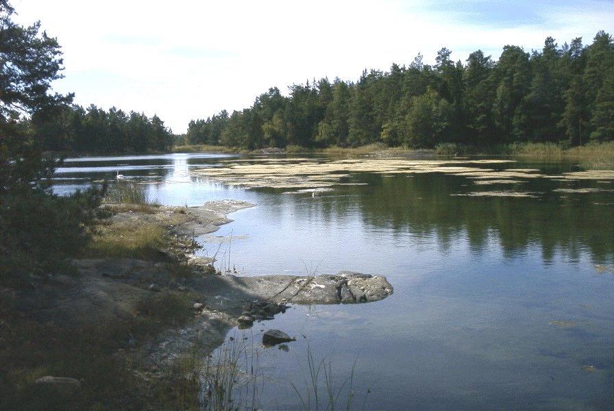 Kustområde 70071 60. Verkebäcksån Lokal: Valstad kvarn 6401391 1540545 Åtgärd: Fiskväg, omlöp. Målart: öring, ål Prioritet: 3 61.