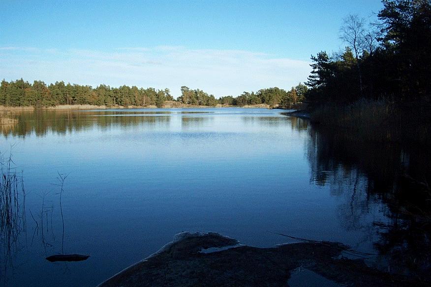 Kustområde 73074 144. Tvarvarpsholmen 6355063 1545920 Åtgärd: Biotopvård, vegetationsrensning. Undersöka och förbättra fiskvandringsmöjligheterna mellan Tvarvarpsholmen och utanförliggande Leden.
