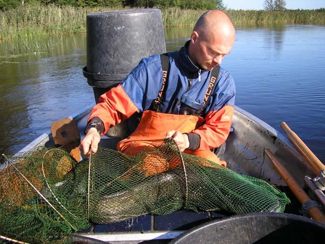 Emån 74000 Emån är det största vattendraget som berör Kalmar län och har sina källflöden långt uppe på det Småländska höglandet.