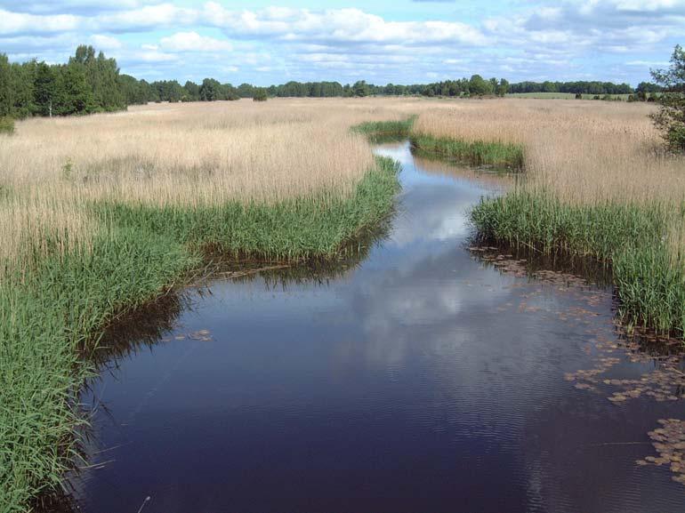 Kustområde 74075 208. Hammarglobäcken 6326305 1543449 Åtgärd: Biotopvård, lekplatsförbättring. Hammarglobäcken är ett 1,4 km långt dike med < 1 m fallhöjd.