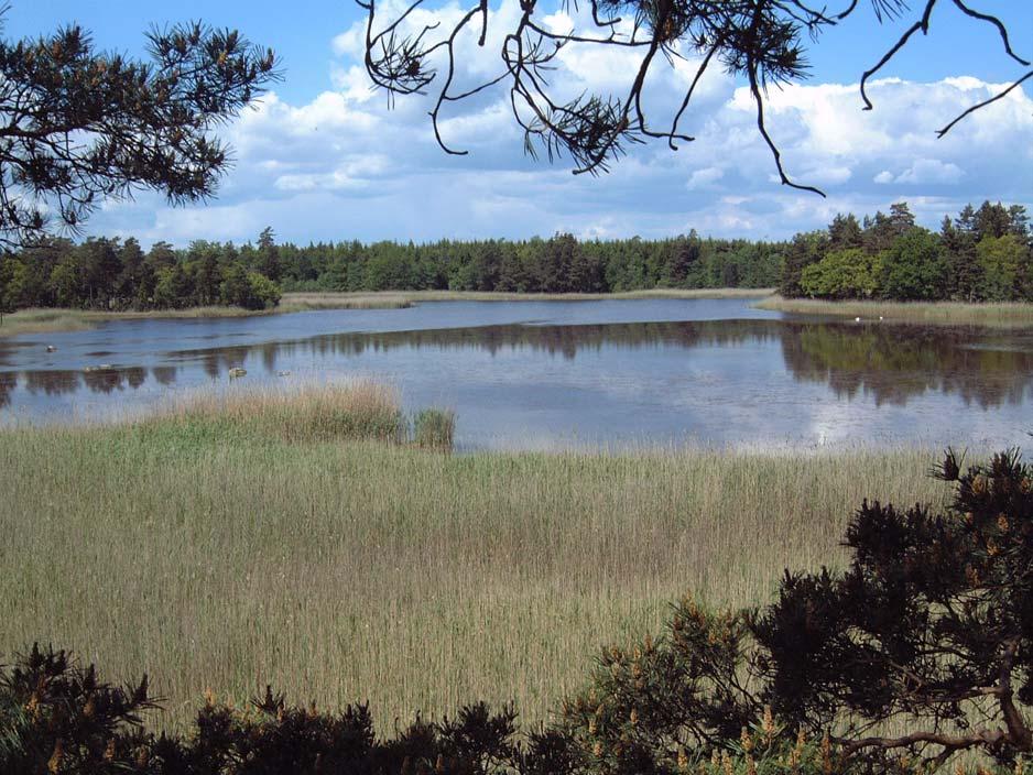 Kustområde 74075 221. Sörhagskroen 6312476 1540074 Åtgärd: Biotopvård, vegetationsrensning. Sörhagskroens vattenspegel är ca 0,7 ha.