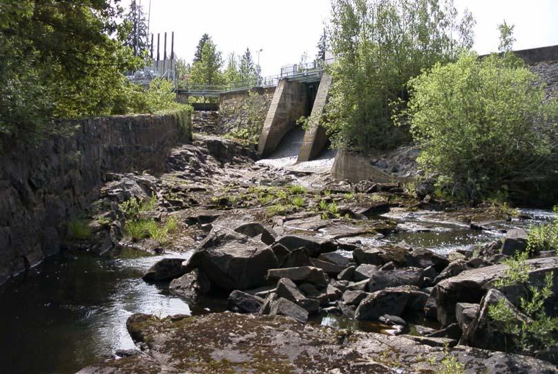 Alsterån 75000 229. Alsterån Lokal: Duveström 6317686 1530643 Åtgärd: Fiskväg, omlöp. Hindret utgörs av en 6 m hög damm. Målart: öring, lax, ål Prioritet: 1 230.
