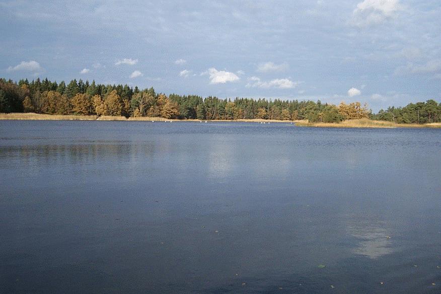 Kustområde 75076 254. Nävraån 6307270 1538725 Åtgärd: Biotopvård, lekplatsförbättring. Nävraåns mynningsområde lämpar sig väl för att skapa nya lekvåtmarker.