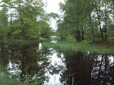 Kustområde 76077 Kustområdet 76077 saknar sjöar till följd av vattnets tillbakadragande från högsta kustlinjen.