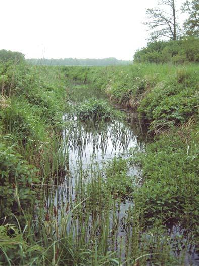 Kustområde 76077 269. Aspöviken Lokal: Norra Aspöviken 6280117 1528947 Åtgärd: Biotopvård. Norra Aspöviken är till stora delar igenväxt med bladvass och säv.
