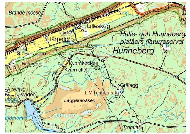 Grästorp, Hunneberg, 120-årig, fuktig barrskog Återbesök 2004-09-05 utan resultat.