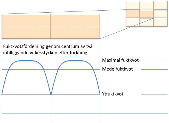 21 6 Beräkning av fuktomfördelning i virkesstycken Författare: Lars-Olof Nilsson 6.1 Bakgrund Inom WoodBuild har risken för mikrobiell påväxt i virkespaket diskuterats länge.