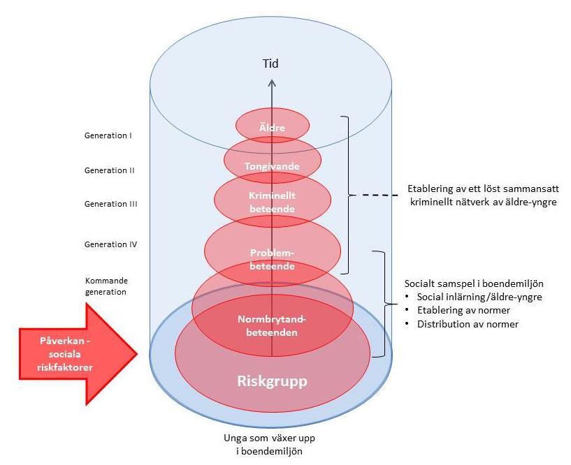 TEORETISK BAKGRUND Bild 6 Etablering av ett löst sammansatt nätverk Bilden ovan exemplifierar hur den kriminaliserande processen över tid kan påverka etableringen av en kriminell struktur och