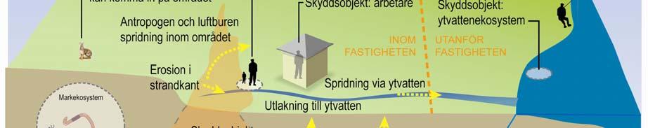 6 Osäkerheter i riskbedömningen Den främsta risken, kopplat till föroreningar, med Fredriksbergs