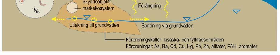 Den stora osäkerheten med kisaskan är om den förekommer inom andra områden som inte undersökts.