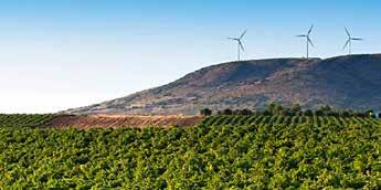 SPANIEN PAGOS DEL REY Pagos Del Rey, som är specialiserade på viner från områden i norra Spanien, ägs av ett familjeföretag som drivs av de fyra bröderna Solis.
