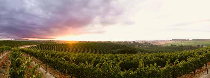 USA J. LOHR VINEYARDS, KALIFORNIEN J. Lohr Vineyards är ett familjeägt vinhus i Kalifornien sedan 1972. Grundaren Jerry Lohr var en av pionjärerna inom högkvalitativ vinodling i området Central Coast.