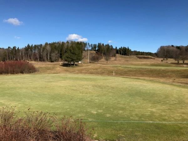 Även i år kommer det vara möjligt att köpa årskort för att i mån av tillgång ha golfbil vid spel.