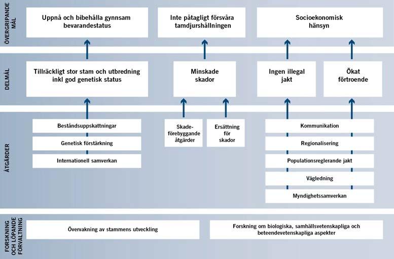 De nationella förvaltningsplanerna tar upp de enligt Naturvårdsverket mest centrala åtgärdsområdena inom rovdjursförvaltningen att uppnå och bibehålla gynnsam bevarandestatus, minska skador orsakade