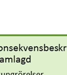 ska s göras (MKB-program).