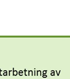 utlåtande om MKB-beskrivningen till de projektansvariga.