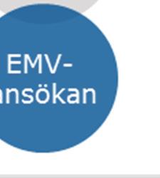 program- och beskrivningsskedet.