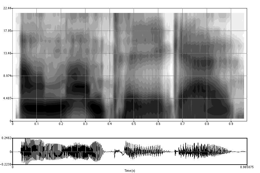 Hörselorganen gör även en oscillografisk analys av auditiva