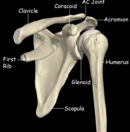 Post-stroke shoulder pain (PSSP) Utvecklas hos ca 40% av stroke patienter Utvecklas ca 2-3 månader efter stroke Hos 65% av patienter blir det långvarig och