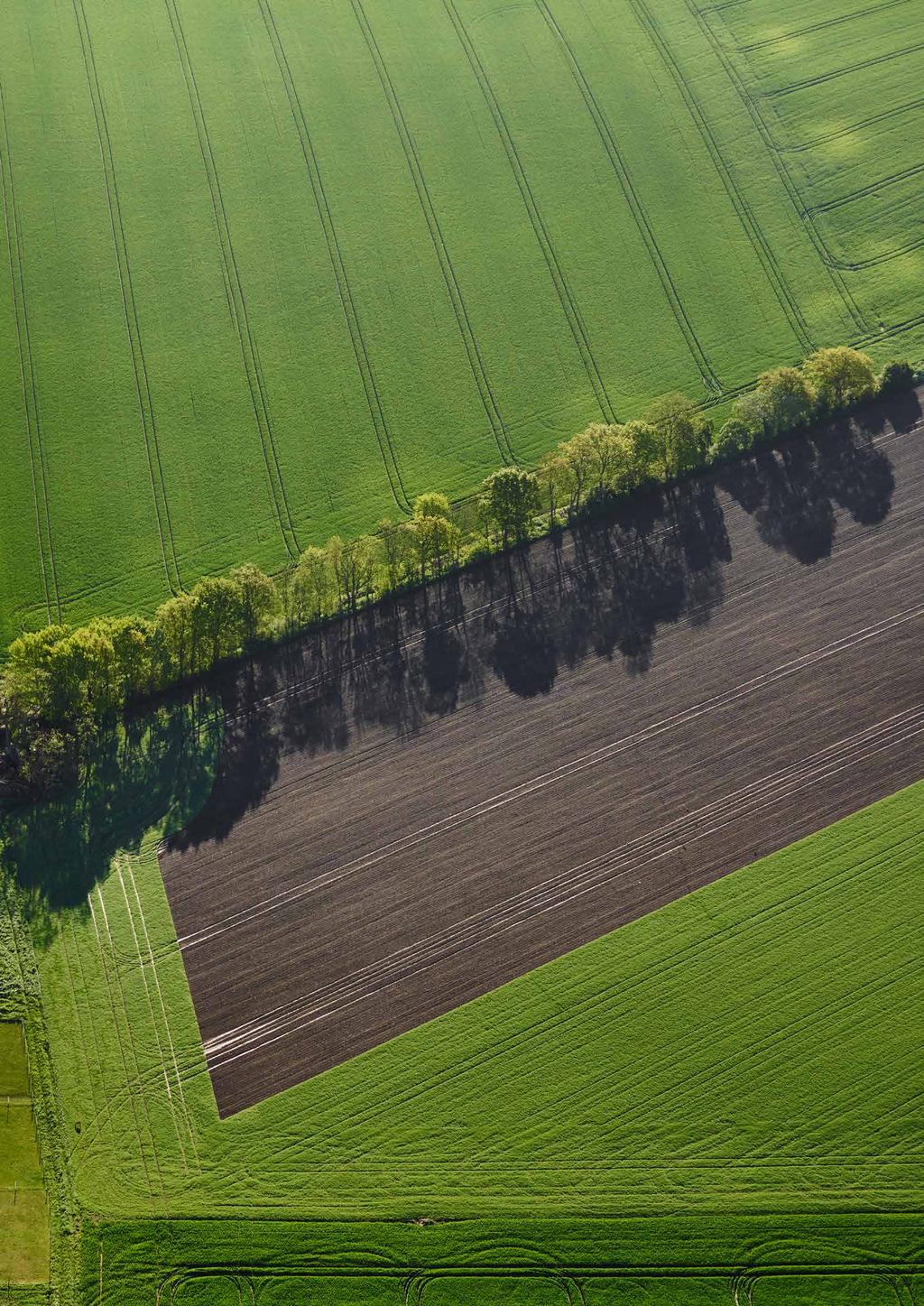 Aktuellt Hela landets bank Maj 2017 Fem år med utdelning Stort intresse för årets regionmöten Råvaror i fokus