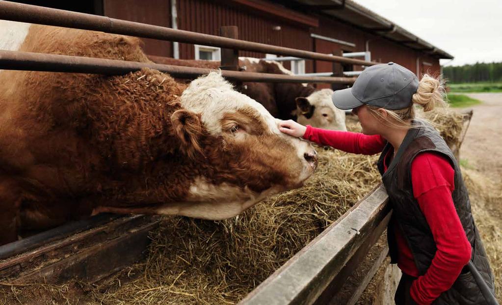 Aktuellt Januari 2017 6 Aktuellt Januari 2017 7 Stort engagemang men bristande kunskap ny undersökning om svenskarnas syn på lantbruket Trots det svarar två av tre, 66 procent, att huvudingrediensen