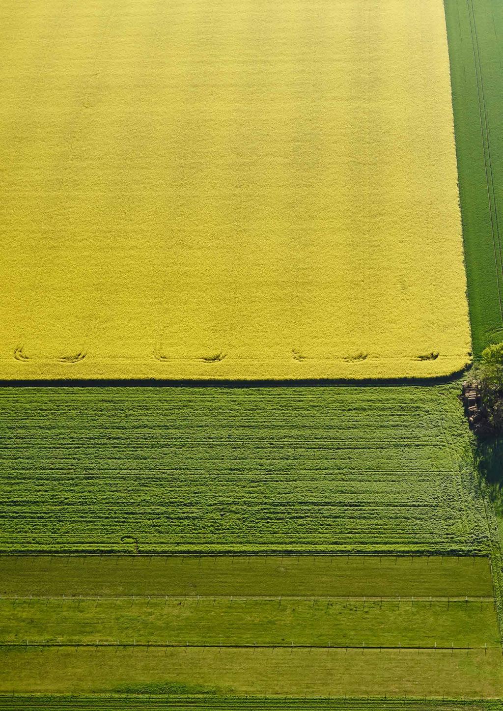 17000017800 Aktuellt på Landshypotek Bank produceras av Marknads - och kommunikationsavdelningen på Landshypotek Bank. Ansvarig är Tomas Uddin, Marknads- och kommunikationschef.
