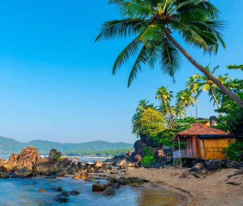 Dag 9 20 jan Goa, Indien I delstaten Goa som länge var en portugisisk koloni ser man sig lite som indier och mycket som Goaner. Faktum är att hela delstaten är som en lättare version av Indien.