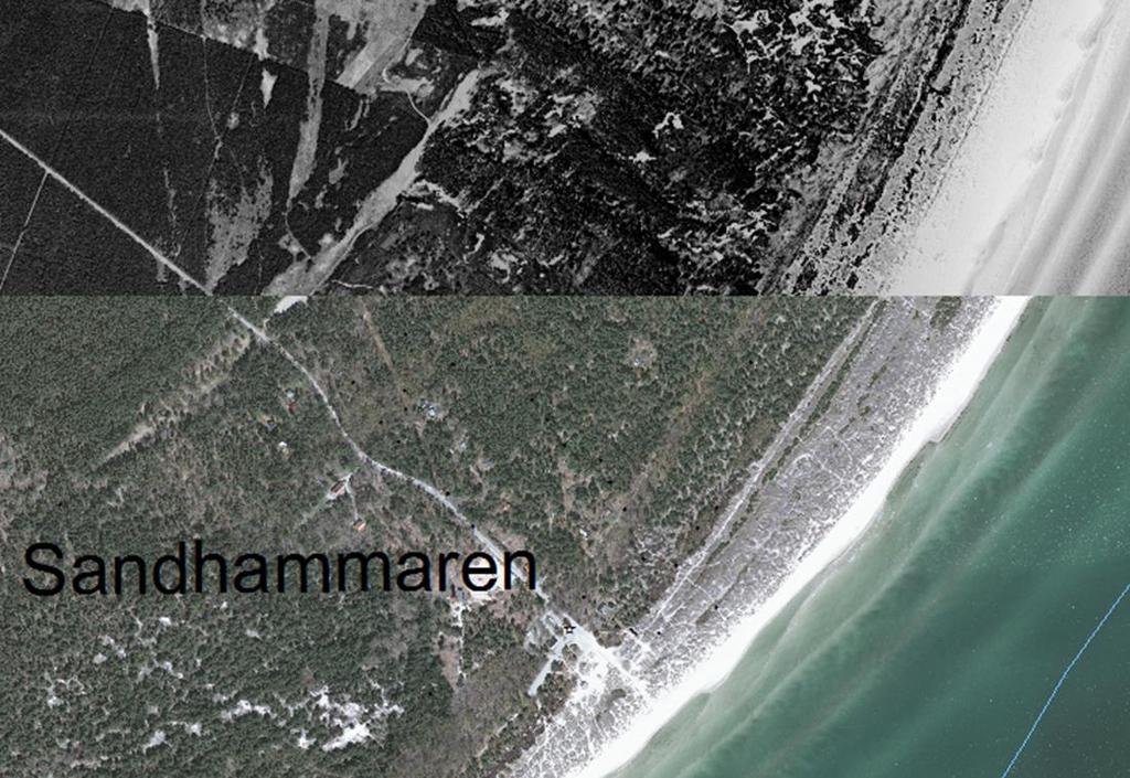 Sandhammaren - ca 200 m landvinning 1960-2012 Lantmäteriet,