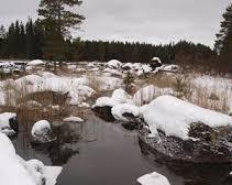 Industri- skog- och jordbrukets påverkan på områdets vatten.