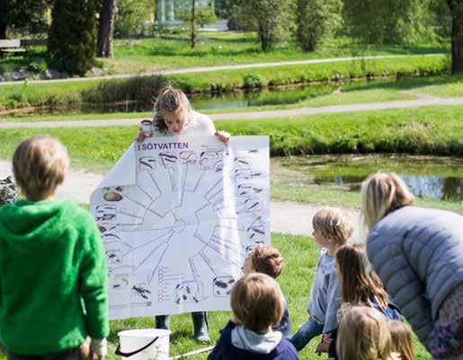 Verksamheten 2016 Basverksamheten Vår basverksamhet utgörs av aktiviteter för skolan: skolprogram, prao och gymnasiearbeten för elever, samt fortbildningar för lärare.