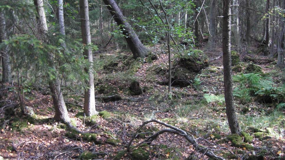 2012-04-26 4 (20) Övriga kommunala Beslut/ Övrigt Kommunfullmäktige har 2011-06-15 antagit detaljplan för intilliggande Mälarbanans utbyggnad till fyra spår. Planen är för nuvarande överklagad.
