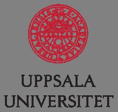 Den svenska modeindustrins internationalisering Fem