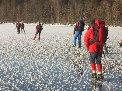 Valberedningen ska i kallelsen lämna förslag till ordförande vid stämman.