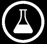 Bio-kerosine Airbus
