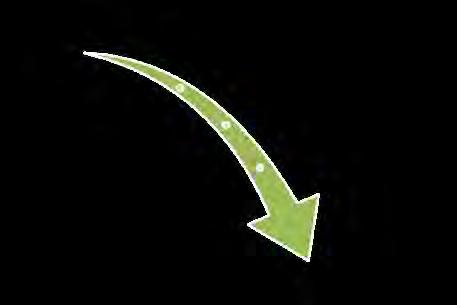 BIOCHEMICALS POLYMERS FA 3 FOOD / FEED