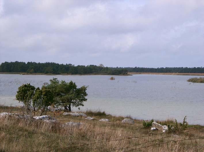 Mölnorträsk Koordinater: 271 19779 Höjd över havet (m): Socken: Fårö Sjöyta (ha): 39 Vattensystem (SMHI): 11/117 Maxdjup (m): 1 Program: Regional miljöövervakning Medeldjup (m):, Provfiskedatum: 9991