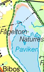 Medelvikt (g) Ansträngningar = A F/A W/A Abborre 1 73 1,3±21,9 2 2, 3 Gädda 2 3 219±1 2 1 219 Mört 1 12,3±, 2 7 22, Ruda 1 3 3 2, 17, Sarv 2 2 33,±19, 2 31 122, Småspigg 1 2, 2, Sutare