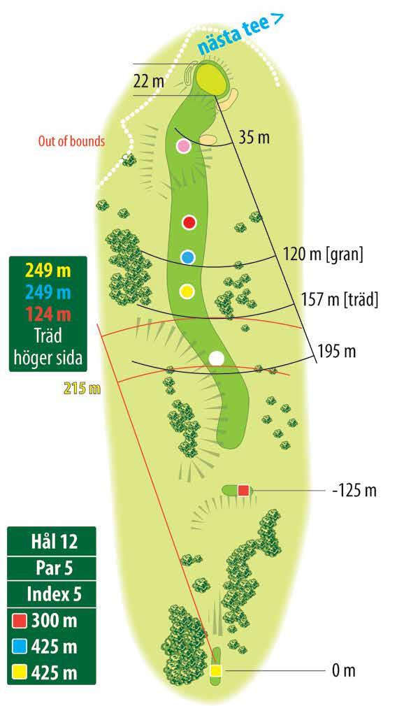 HÅLETS HÖJDPROFIL Tee [gul] 100 m Green 0 m -7,9 m --8,2 m 12 Spelstrategi: Möjligtvis banans mest generösa hål.