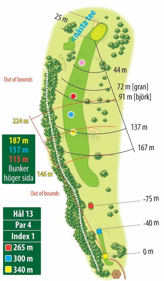 13 HÅLETS HÖJDPROFIL Tee [gul] 91 m Green 0 m +5,0 m +3,7 m Spelstrategi: Här krävs ett ordentligt utslag för att ha en hyfsad kort