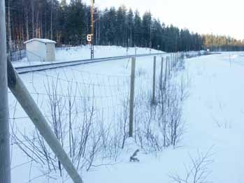 järnvägen och väg E4 kommer att bli smalt, endast 0-5 km. Det är osäkert om denna landremsa kommer att kunna användas för fortsatt renbete.