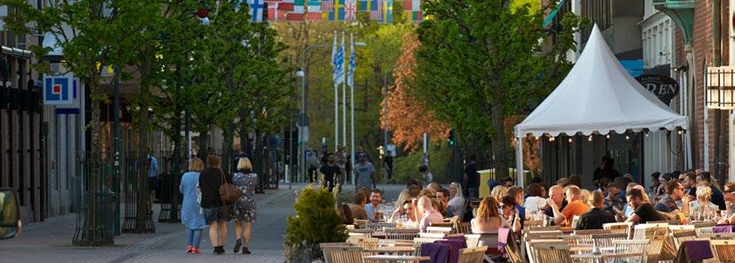 Mångfald, tolerans och nyfikenhet ska prägla Skövderegionen. Ett rikt och varierat kulturliv ska bidra till ökad livskvalitet.
