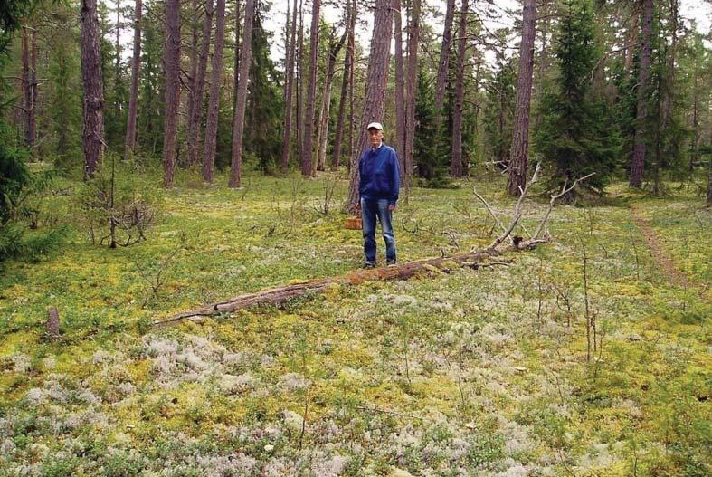 utveckla bättre samverkan mellan naturvård och kulturmiljövård få synergieffekter inom flera angränsande områden.
