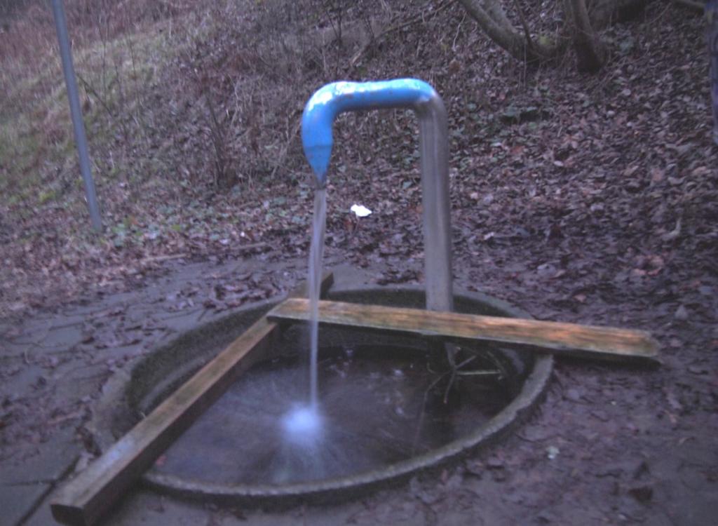 PFOS/PFAS över vändtrend, i övrigt inga detekterade miljögifter.
