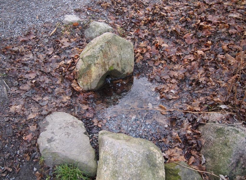 Låga PFOS värden i övrigt inga uppmätta miljögifter.