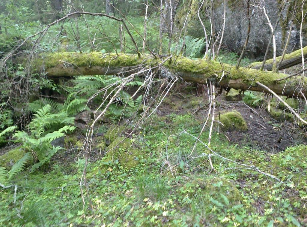 V Saltsjön (HC) intill Södertäljeåsen-Södertälje, Södertälje.