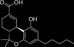 2e5 2.0e5 1.8e5 1.6e5 1.4e5 1.2e5 1.0e5 8.0e4 6.0e4 4.0e4 2.0e4 Biphenyl 0.5 1.0 1.5 2.0 2.5 3.0 3.5 4.0 4.5 5.